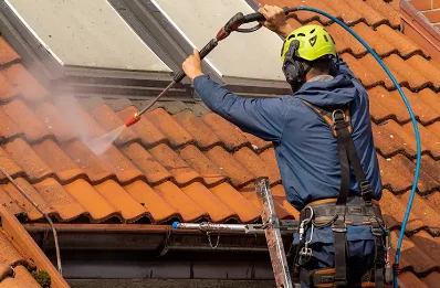 Démoussage et hydrofuge de toiture à Bazordan